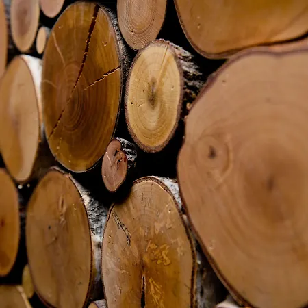 Saentis Мюнхен